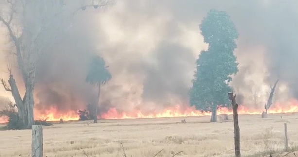 Fire in Narmadapuram Fields सड़क से लेकर आसमान में छाया काला धूंआ