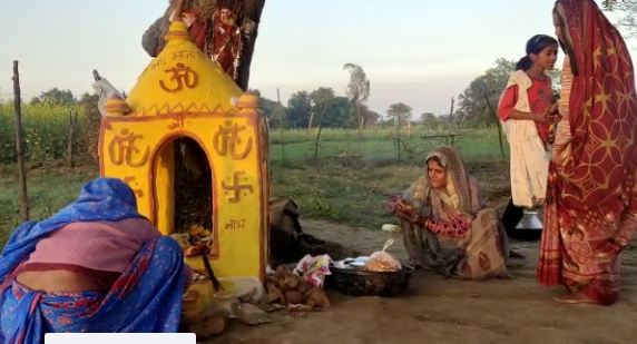 Neem Tree: चमत्कार या अंधविश्वास, नीम के पेड़ से निकल रहा दूध! चमत्कार मान कर लोगों ने करी पूजा अर्चना