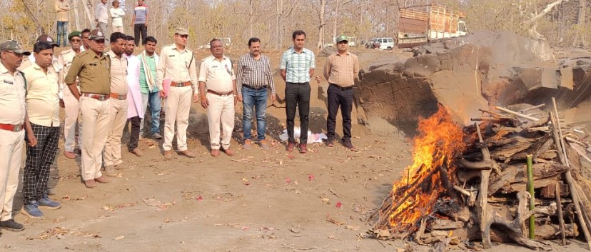 Harda: रहटगांव वन परीक्षेत्र में मिला 8 वर्ष का मृत तेंदुआ