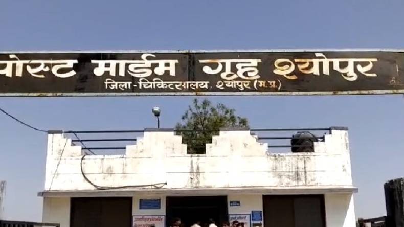 Sheopur: आयुष विभाग की निर्माणधीन बिल्डिंग का छज्जा गिरने से 2 बच्चे घायल, 1 की मौत