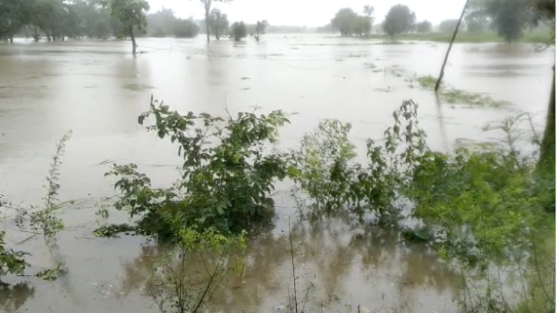 बालाघाट में मूसलाधार बारिश का कहर, नदी नाले उफान पर, आधा दर्जन गांवों जलमगन!