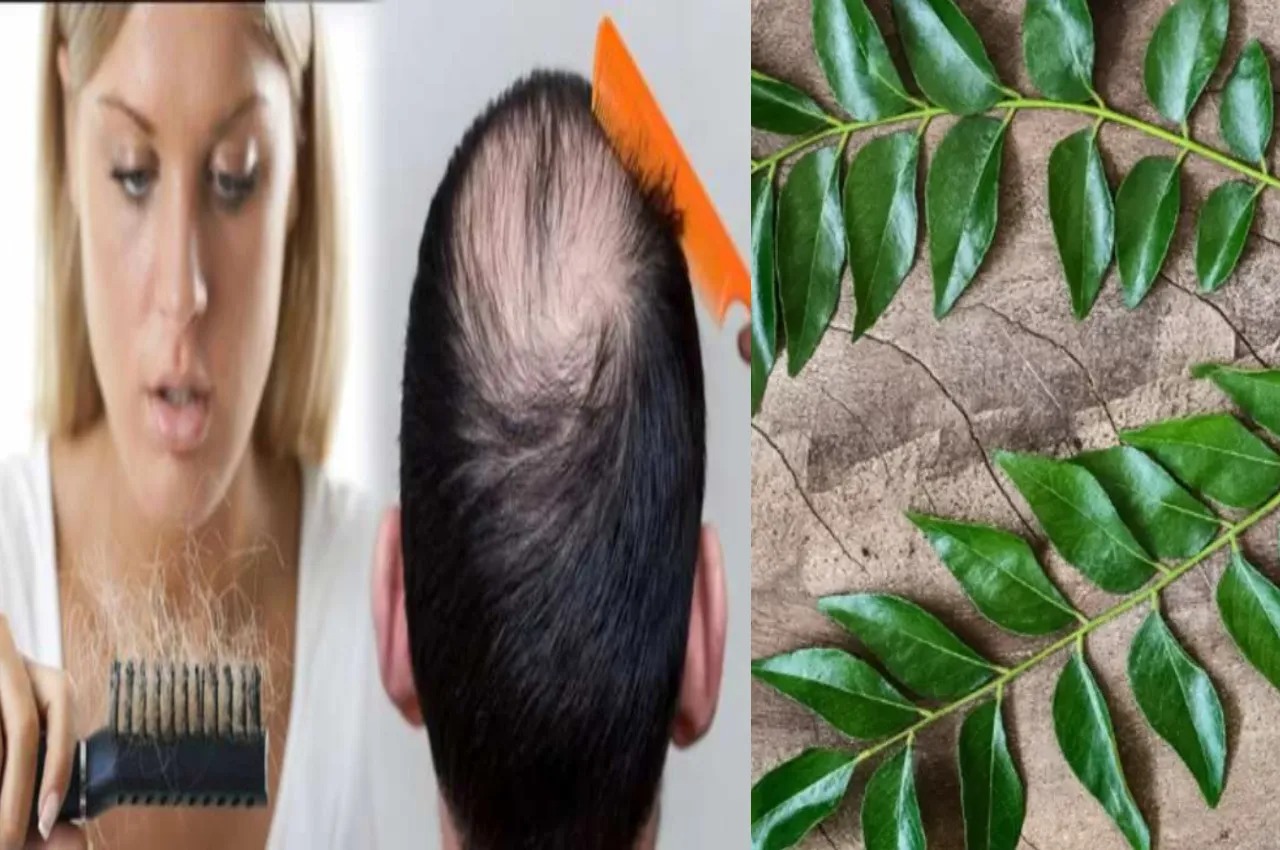 Hair Care Tips: बालों की जड़ों को कैसे करें मजबूत, यहां जाने सब कुछ