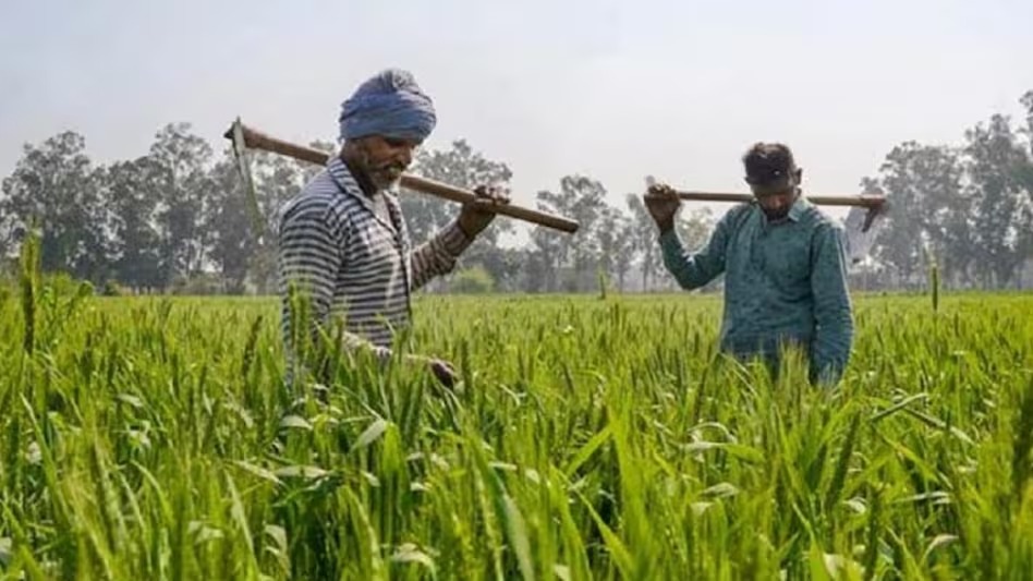 PM Kisan Samman Nidhi: किसान योजना की 15वीं किस्त जारी, चेक करें खाते में अपना बैलेंस