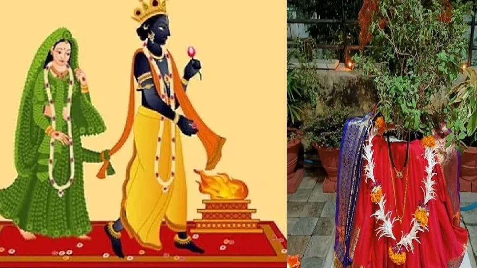 Tulsi Vivah: तुलसी विवाह के दिन करें ये उपाय, वैवाहिक जीवन की समस्याएं होंगी खत्म