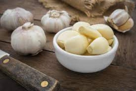 Garlic benefits: सर्दियों में लहसुन की कली-रामबाण से कम नहीं, जानें इसके फायदे