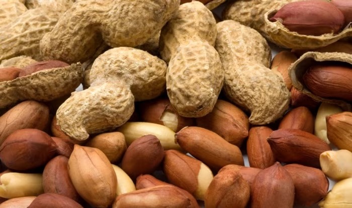 Benefits of Peanuts: ठंड में क्यों खानी चाहिए मूंगफली? जानें इसके फायदें