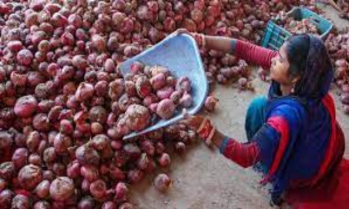 Onion Price: बाजार की कीमत से 35 रूपये सस्ता मिलेगा प्याज, सरकार लाई शानदार योजना