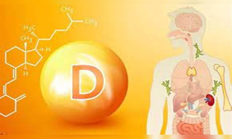 Health Tips: सर्दियों में विटामिन D का करें सेवन, मिलेंगे ये सभी फायदें