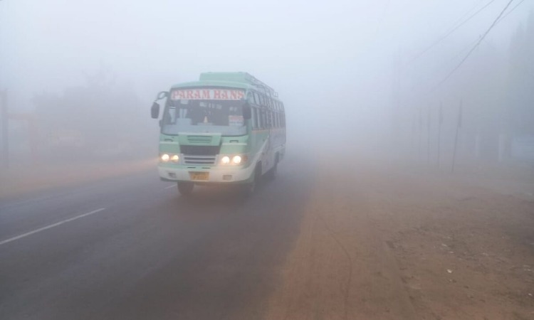 MP Weather: मध्य प्रदेश में कोहरे ने ओढ़ी चादर, गलन से ठिठुरे लोग, IMD ने किया अलर्ट