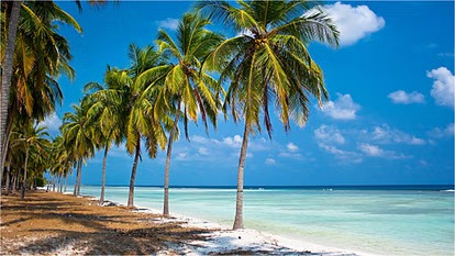 Lakshadweep: लक्षद्वीप की Beach ब्यूटी देख चिढ़ी मालदीव की ट्रोल आर्मी, जानें कैसे दिए रिएक्शन