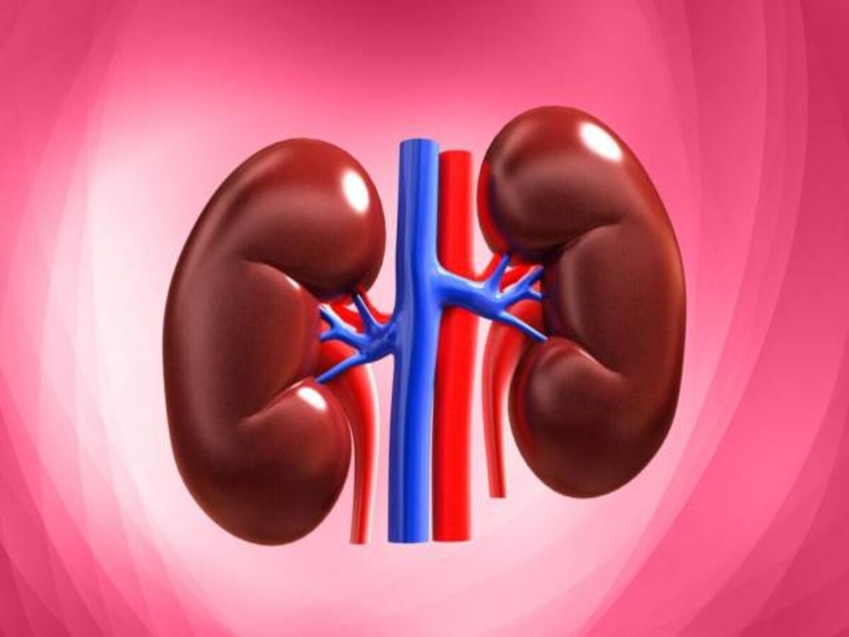 Kidney Failure: किडनी खराब होने से पहले शरीर में दिखते हैं ये लक्षण, जानें