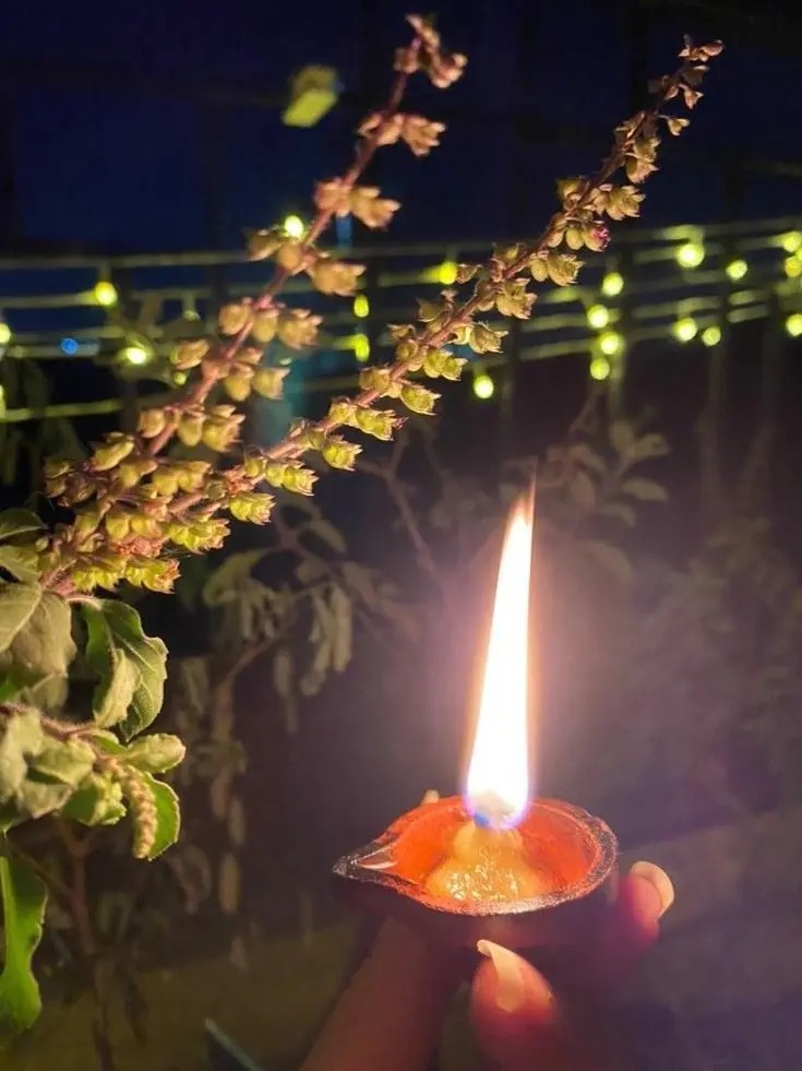 Tulsi Diya : तुलसी की लकड़ी का दीया जलाने से क्या होता है लाभ, जानें यहां 