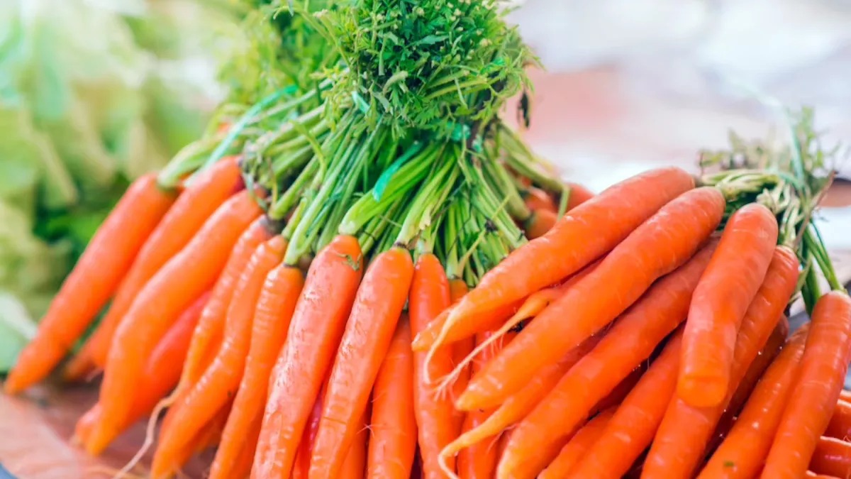 Carrot Benefits: सीजन खत्म होने से पहले खालो गाजर, फायदे जान रह जाएंगे दंग