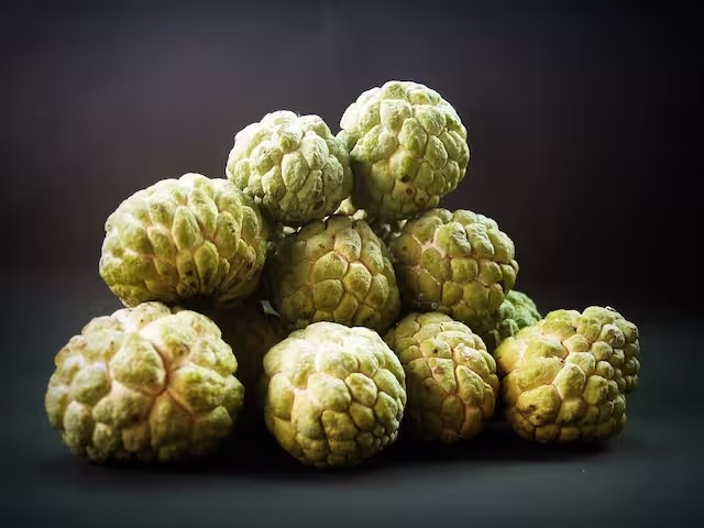 Custard Apple Benefits: सीताफल खाने से मिलते हैं गजब के फायदे, जानकर हैरत में पड़ जाएंगे आप 