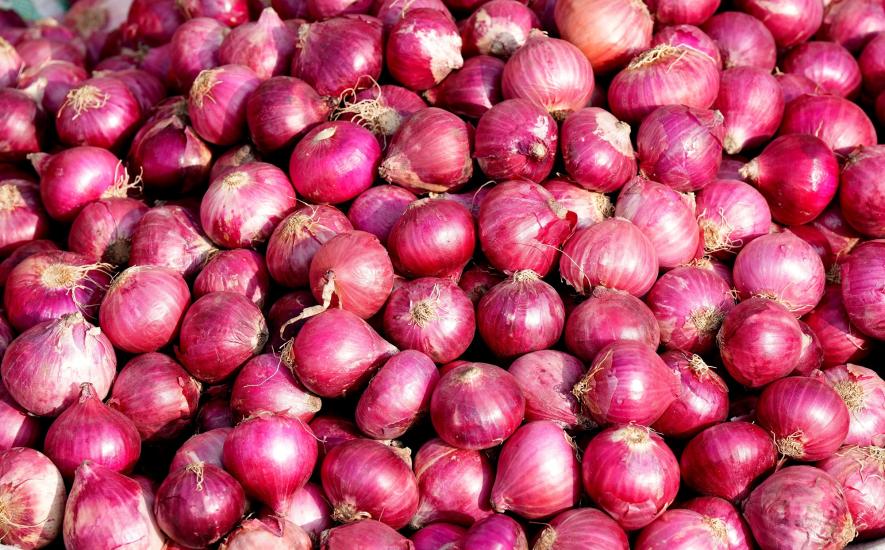 onion price hike: लहसुन के बाद अब प्याज रूला रहीं महगांई के आंसू, कीमतें छू रहीं आसमान