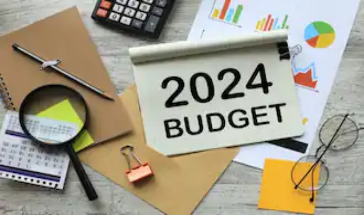 Interim Budget 2024: लोगों की उम्मीदों पर फिरा पानी, सोशल मीडिया पर निकाली भड़ास