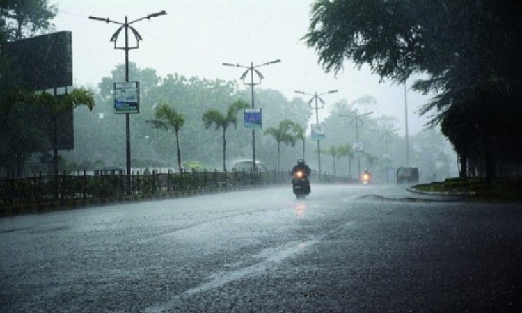 MP Weather: मप्र में बेमौसम बारिश, IMD ने 20 जिलों के लिए जारी किया अलर्ट