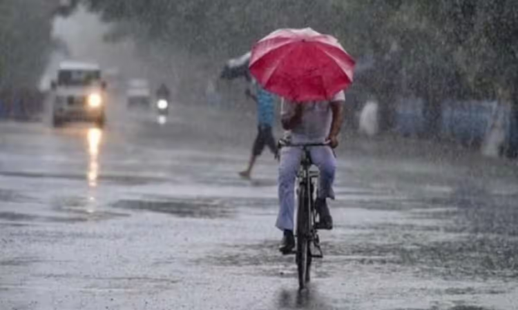 MP Weather UPdate: प्रदेश में झमाझम बारिश! मौसम विभाग ने किया अलर्ट