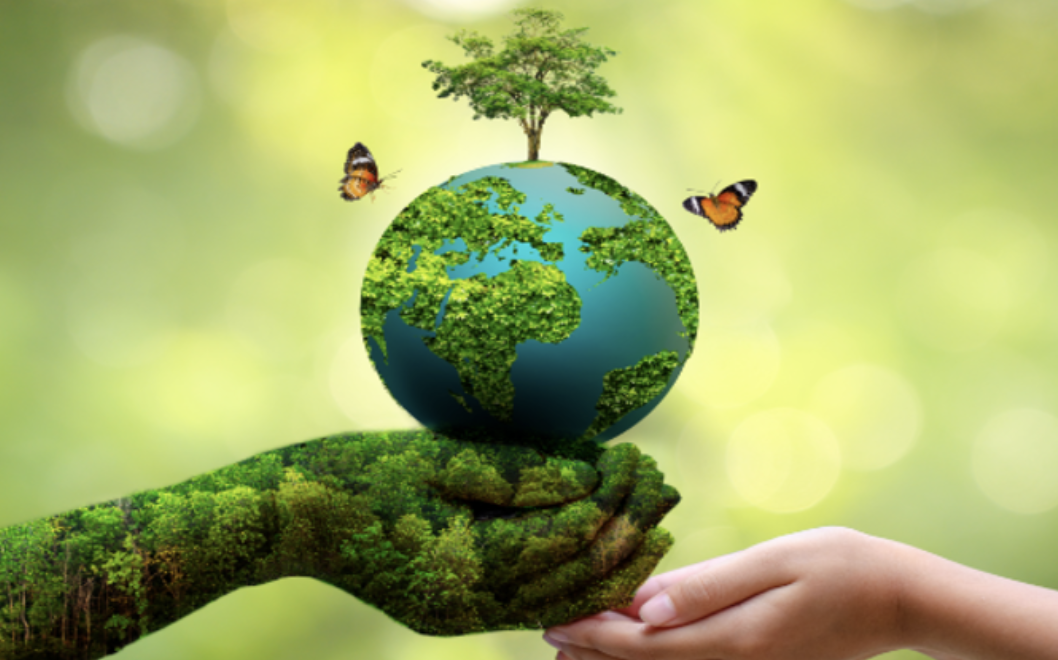 World Environment Day: 5 जून को ही क्यों मनाया जाता है विश्व पर्यावरण दिवस? जानिए वजह