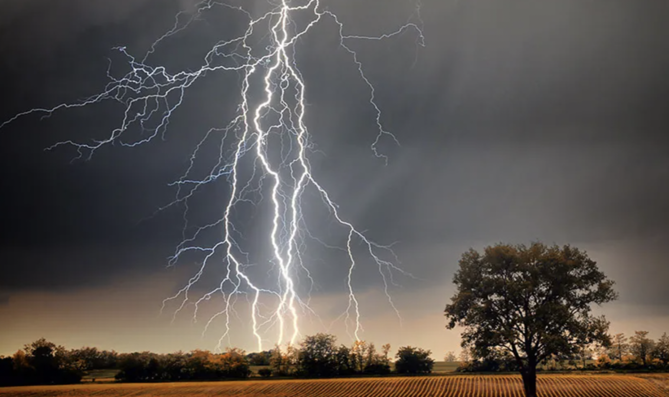 MP Lightning Strike: दमोह में बिजली गिरने से 4 की मौत, प्रशासन ने किया मुआवजे का वादा