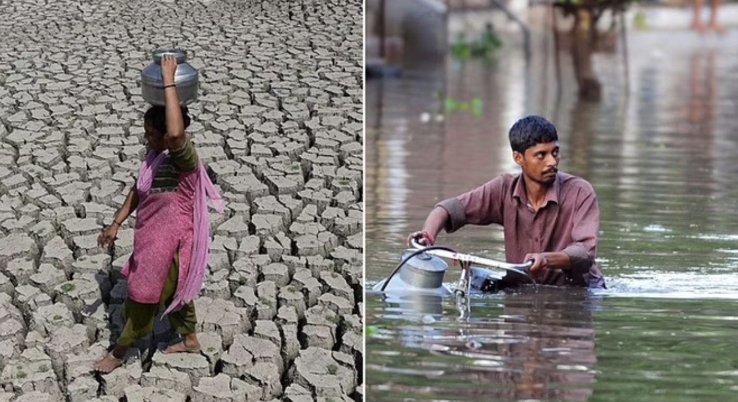 MP Weather Update: MP में बदला मौसम का मिजाज,  कहीं झमाझम बारिश, कहीं सूखा