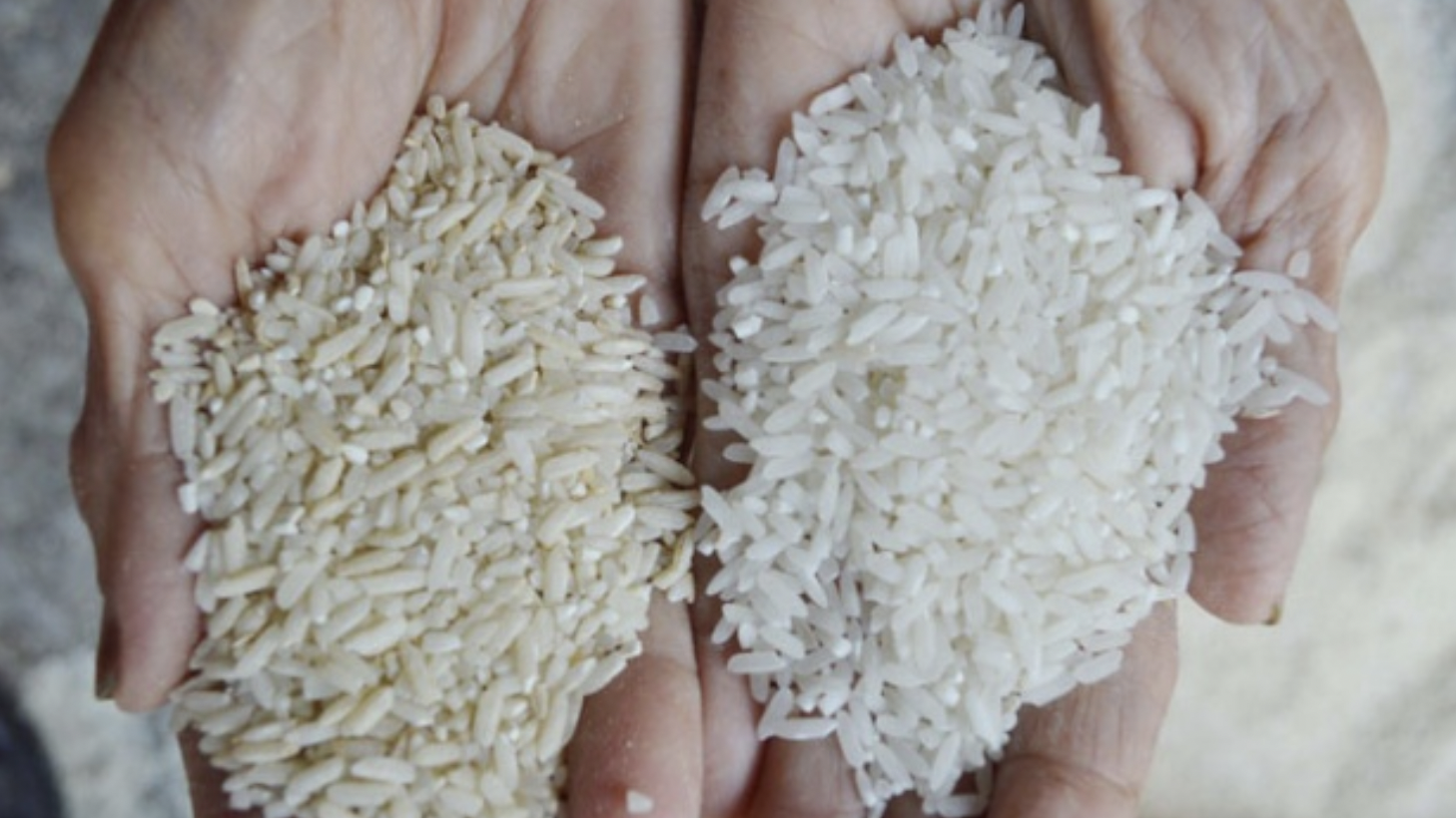 Rice Scam Balaghat: करोड़ों का घटिया चावल जनता को सप्लाई, नहीं हुई कोई कार्रवाई