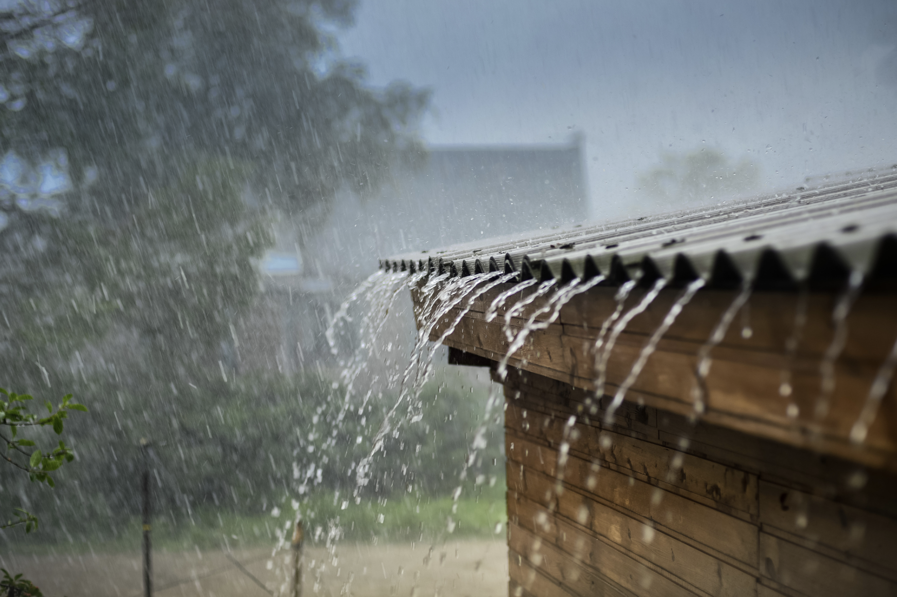 MP Weather: मध्य प्रदेश के कई जिलों में रेड अलर्ट, भारी बारिश की चेतावनी