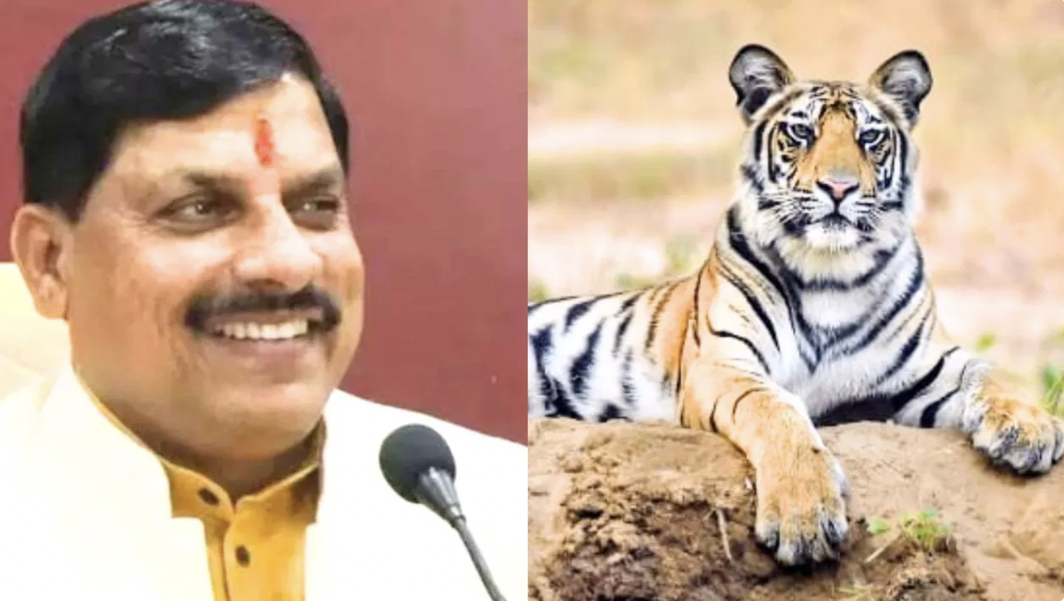 International Tiger Day: अंतर्राष्ट्रीय बाघ दिवस पर CM मोहन यादव ने कहा, “भारत के 20% बाघ हमारे राज्य में हैं”