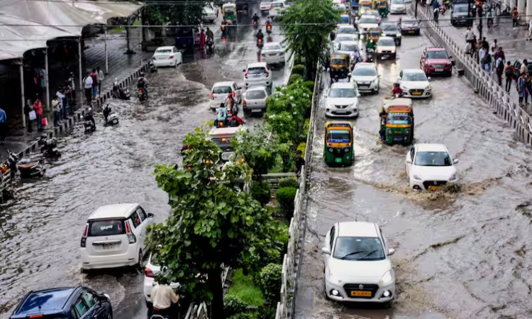 MP Weather: राज्य में मानसून मेहरबान, ग्वालियर समेत इन इलाकों में बारिश का अलर्ट