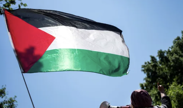 Man Hoisting Palestinian flag: भोपाल में स्वतंत्रता दिवस पर फिलिस्तीन का झंडा लगाने पर युवक गिरफ्तार